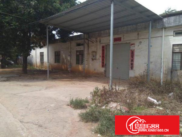 惠州秋长茶园新出独院钢构厂房1100平方，滴水6米