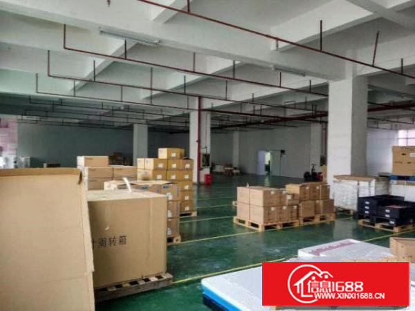 清溪浮岗村 2000平方米 消防喷淋 独院一楼厂房 重工业