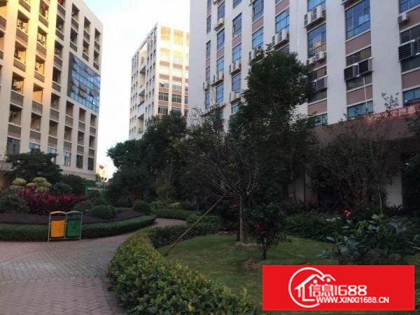 龙岗中心城全新科技园全面隆重招租