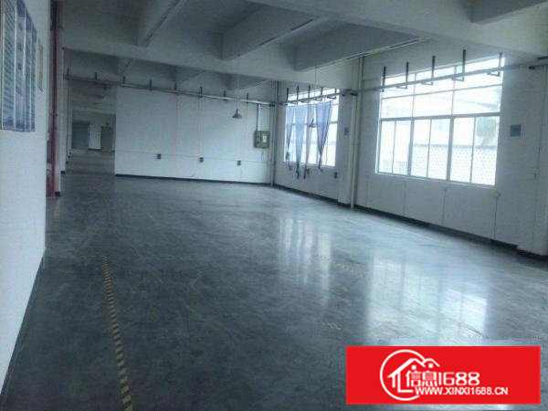 企石镇桥头镇石排镇横沥镇全新