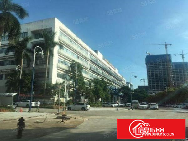 深圳坪山中心位置带精装适合办公350电商厂房出租