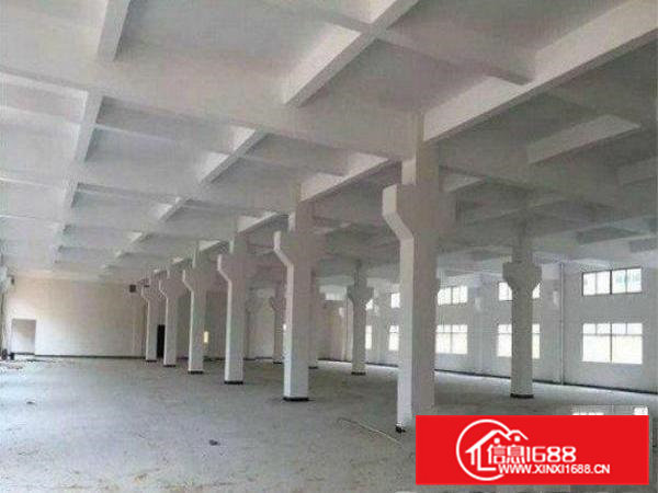 常平朗洲现有一楼厂房950平方带牛角出租