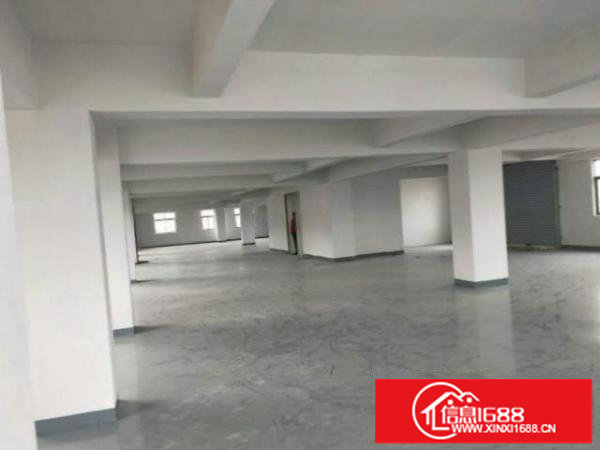 松岗碧头新出独栋厂房1000平方，可分租。