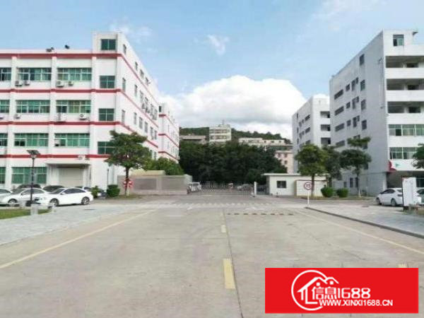 龙岗坪地低碳城大工业区楼上整层招租使用高带消防喷淋空地大