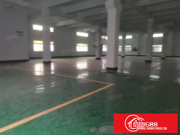 凤岗金凤凰原房东一楼3000平方厂房仓库出租