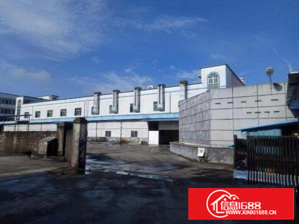 沙湖挨观澜4000平米超优质二层独院厂房，可分租