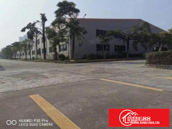 横沥石涌工业区新出独栋单一层钢结构厂房5000平方滴水8米