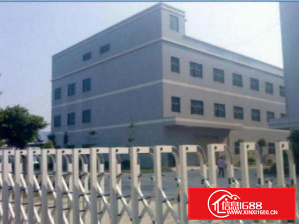 万江工业区标准一楼800平方招租交通方便适合机械、五金塑胶等