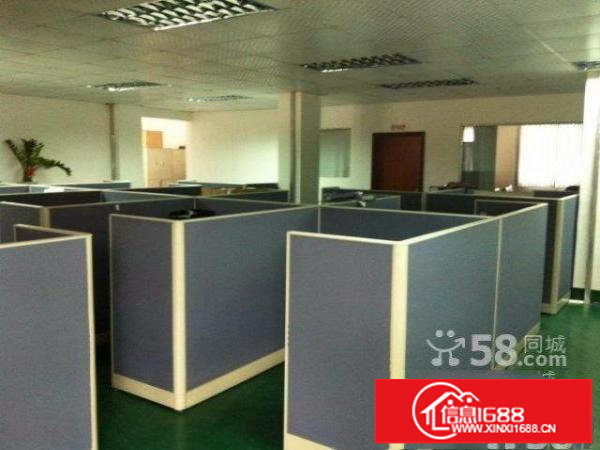 白花洞观光路边新出1-4层整栋8000平带红本