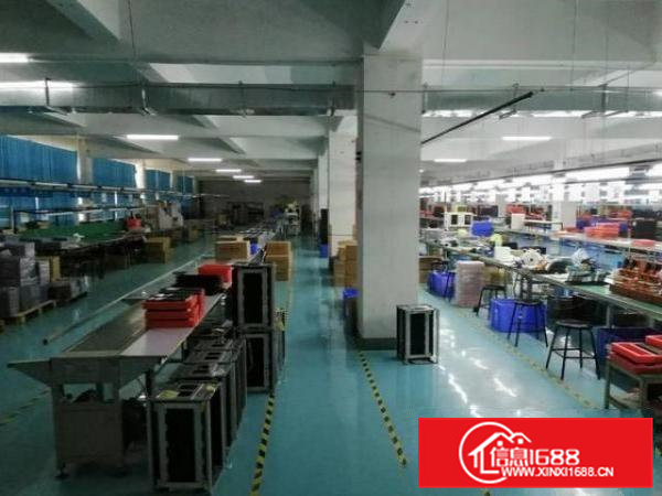 虎门黄村社区楼上整层2300平出租，办公室精装，线路到位