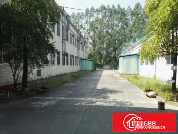 陈江单层11米高厂房出租