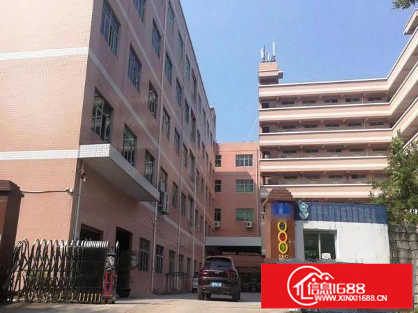 荷坳70015003000平厂房单价19元