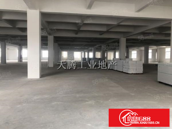 全新厂房出租免中介费配套齐全