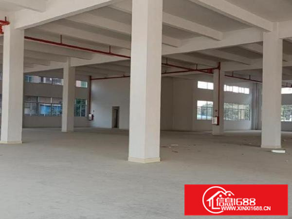 工业区厂房，好招工，形象好