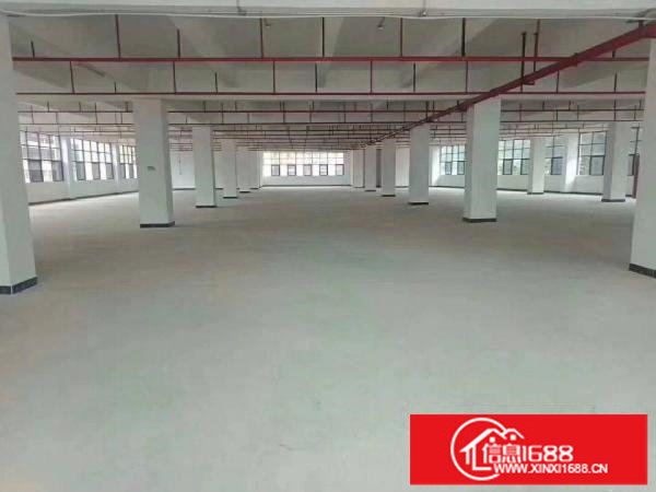 平湖山厦三楼320平对外急租交通方便