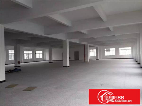 平湖新木村新标准厂房一楼1530平带装修办公室