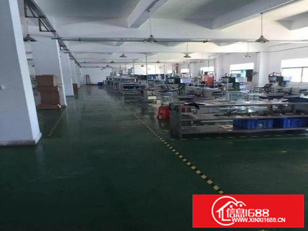 龙岗中心城独门独院厂房5000平米可分租