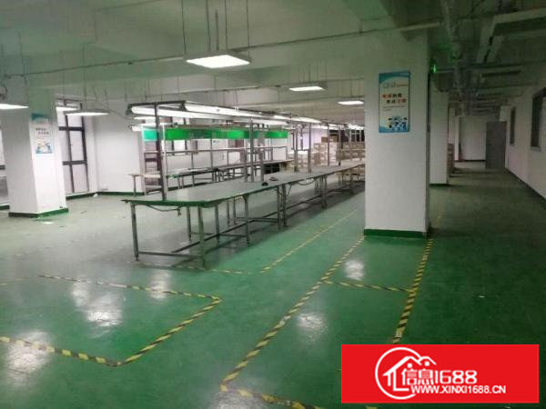 出租宝龙工业区、龙岗比亚迪、赛格导航附近办公厂房