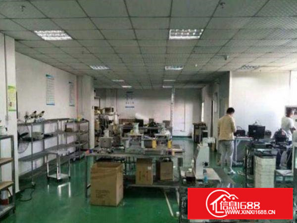 常平还珠沥附近新出楼上600平厂房招租