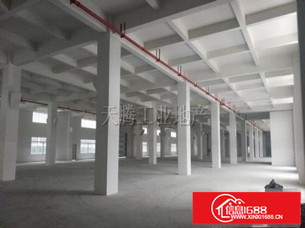 顺德9800方独门独院厂房！租金超便！可过环保！