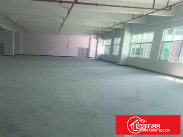 常平卢屋独门独院1000平方米，空地200平方米出入方便