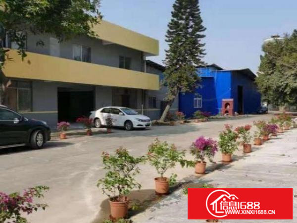 寮步镇原房东单一层厂房出租，带牛角！