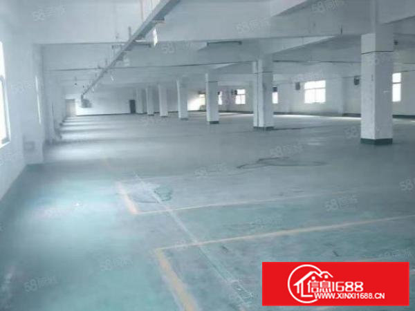 出租东坑红本厂房3310平大小分租配4台3吨货梯周边无居民