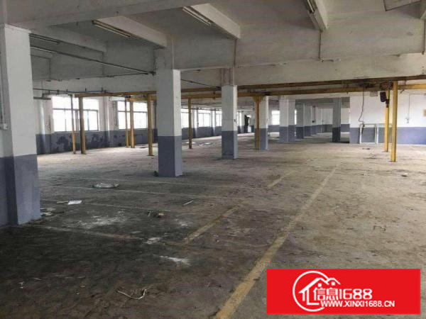深圳松岗新出一楼2500平带行车厂房，适五金模具业