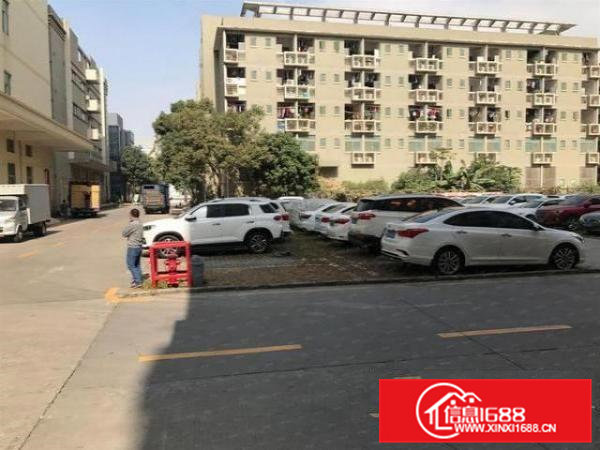 石排横山独门独院楼上1250平精装修厂房出租