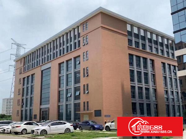 长安乌沙沙头原房东独院10000平厂房出租可做口罩