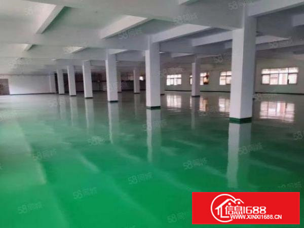 出租漂亮厂房12元一个平方