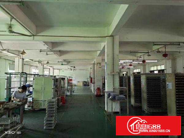 谢岗镇标准厂房出租一楼2500㎡高度7米带牛角位