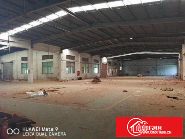 坪地鹤坑工业区钢结构1200自由分配平厂房招租中