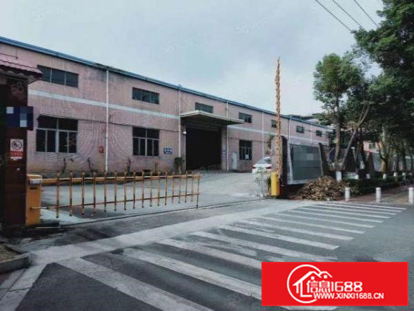 寮步良边石大路独院单一层10米高厂房800平方招租