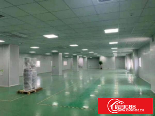 高埗独院厂房分租二楼1800平方带现成装修