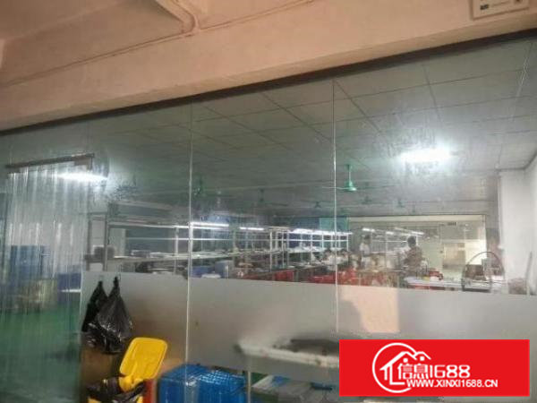 清溪浮岗原房东房子出租