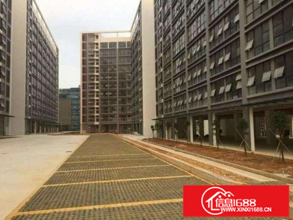 龙岗坪地低碳城德国小镇厂房出租与上市公司做邻居