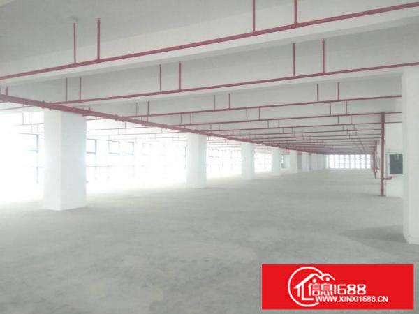 龙岗区新出15万平全新标准厂房出租，