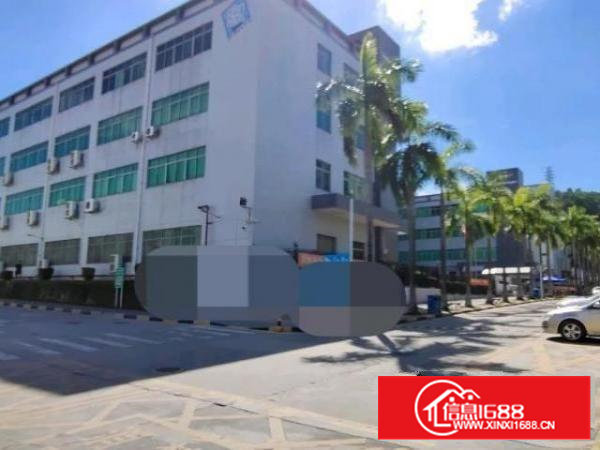 村委一手厂房17000平零公摊