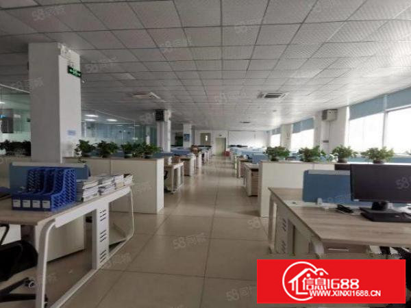 龙华大浪1000平原房东一楼精装修厂房办公室带家具出租可分租