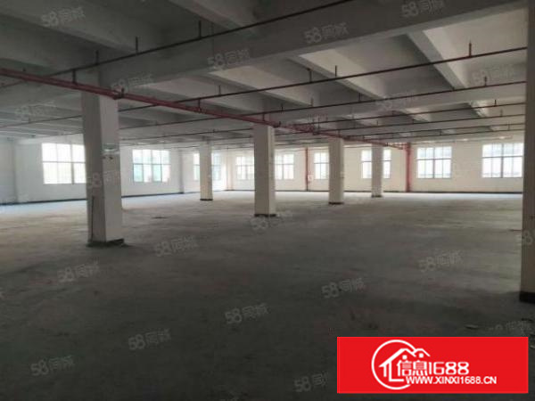 石排庙边王原房东标准厂房2100方租12元，水电齐全，易招工