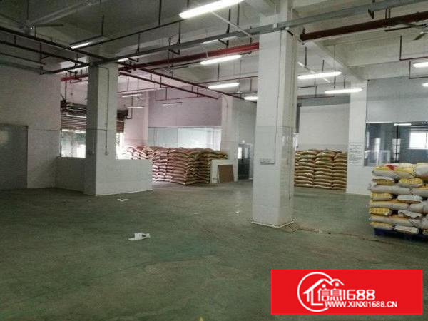 华南城新出独院厂房12000平米，500平米起租