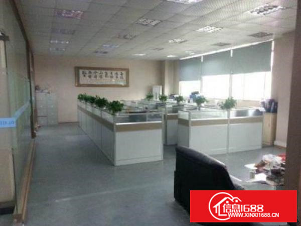 桥头东部快速7米高独院厂房5层13500电梯2部