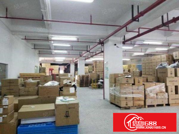 厂房出租横沥工业区单层厂房独门独院空地大好停车可做仓库