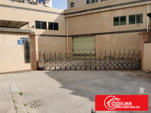 林村单一层小独院2000平米现成装修