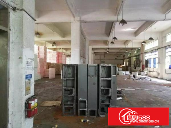 福民福前路边大型工业区一楼500平出租