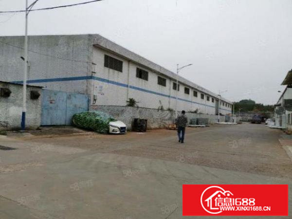 坪山坑梓龙田社区独栋钢构3100平价格25元