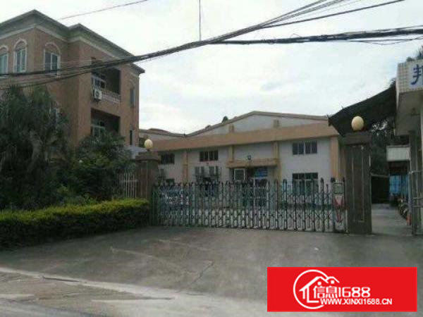 桥头独院单一层厂房3000平米