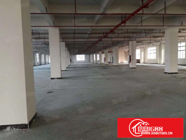 怀德全新原房东产业园招租，房东直租，可签6年以上