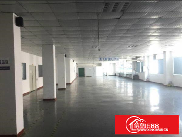 塘厦高速口独院楼上分750平方带豪华装修办公室吊顶